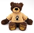 Apollo Bear Apollo Bear Montana State Bobcats Warm Whiskers Grizzles heated body pillow