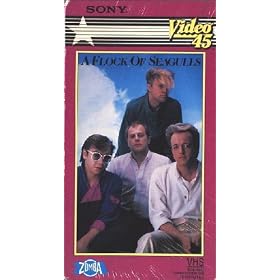 A Flock of Seagulls: Sony Video 45
