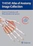 THIEME Atlas of Anatomy Image Collection--General Anatomy and Musculoskeletal System (Thieme Atlas of Anatomy Series)