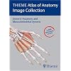THIEME Atlas of Anatomy Image Collection--General Anatomy and Musculoskeletal System (Thieme Atlas of Anatomy Series)