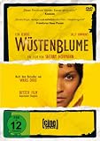 Produkt-Bild: W&uuml;stenblume
