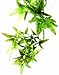 Hagen Exo Terra Plastic Terrarium Plant, Small, Croton