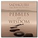 Pebbles of Wisdom RS.102.00