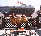 Wilco (The Album)