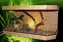 Panorama Terrarium 120 x 60 x 60