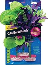 Vibran-Sea Amazon Flowering Cluster Aquarium Plant Assortment
