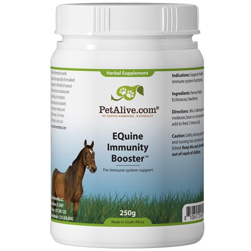 PetAlive EQuine Immunity Booster, 250-Gram Bottle