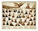 Historic Print (L): Desespoir des ennemis de la France a la decouverte de leurs compl...