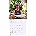 Magnet & Steel 2017 Yorkshire Terrier Calendar, Mini Calendar