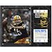 Mounted Memories Green Bay Packers Super Bowl I Bart Starr Plaque with Replica Ticket