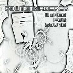 Wired for Sound