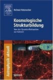 Kosmologische Strukturbildung: Von der Quantenfluktuation zur Galaxie (Astrophysik Aktuell) - Helmut Hetznecker