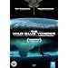 The Wild Blue Yonder [2005] [DVD]