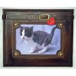 Beautiful Pet Lovers Picture Frame ~Wood Brown