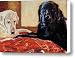 Comfort and Joy Canvas Print / Canvas Art - Artist Molly Poole