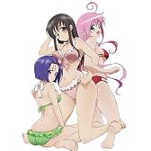 To LOVEる-とらぶる-15巻DVD付予約限定版 (ジャンプコミックス)