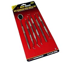 6 Piece Stainless Steel Dental Set