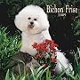 Bichon Frise 2009 Square Wall Calendar