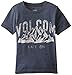 Volcom Little Boys' Stonith Short Sleeve T-Shirt