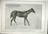 Elliman Sons Slough England First Aid Horses Dogs Birds