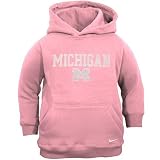Nike Michigan Wolverines Pink Youth Pullover Hoody Sweatshirt