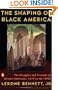 The Shaping of Black America: The Struggles and Triumphs of African-Americans, 1619-1990s (African American History (Penguin))