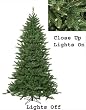 12' Pre-Lit Frasier Fir Artificial Christmas Tree & Rolling Stand - Clear Lights