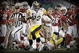 NFL Pittsburgh Steelers James Harrison Super Bowl Touchdown Mural Wall Graphic