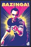 Big Bang Theory - Bazinga 22x34 Dry Mounted Poster Wood Framed