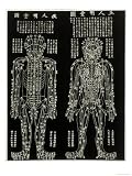 Chinese Acupuncture Chart Showing the Crucial Locations on the Body Giclee Poster Print, 42x56 51OASWOoncL. SL160 Chinese Acupuncture Chart Showing the Crucial Locations on the Body Giclee Poster Print, 42x56