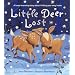 Little Deer Lost