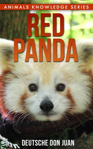 Red Panda: Beautiful Pictures & Interesting Facts Children Book About Red Pandas (Animals Knowledge Series)