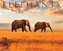 Elephants 2014 Calendar