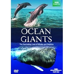 Ocean Giants