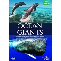Ocean Giants