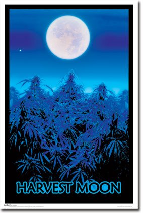 Harvest Moon black light poster