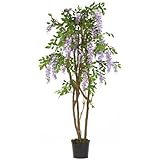 Return to product information