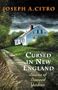Cursed in New England: Stories of Damned Yankees