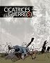 Cicatrices de guerre(s)