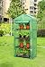 High Quality Portable Greenhouse W/shelves, 4 Tier, Mini Green House New