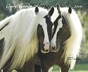 Gypsy Vanner Horse 2009 Calendar