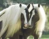 Gypsy Vanner Horse 2009 Calendar