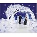 Winter's Magic Theme Scene Decorating Kit