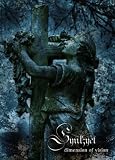 dimension of vision [DVD]