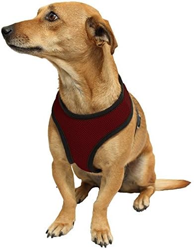 Kavsy™ Best Soft Mesh Choke-Free Dog Harness, Can Be Attached to Car Pet Seatbelt (Medium, Red)