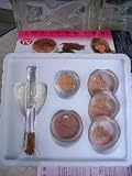 51OBK rhvhL. SL160  Sheer Cover Mineral Makeup Kit for Light/Medium