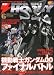 電撃 HOBBY MAGAZINE (ホビーマガジン) 2009年 06月号 [雑誌]