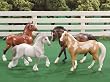 Breyer Stablemates Gift Set 4 Piece