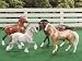 Reeves (Breyer) Int'l