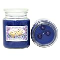 Bluberry Muffin Soy Candle - 21oz.